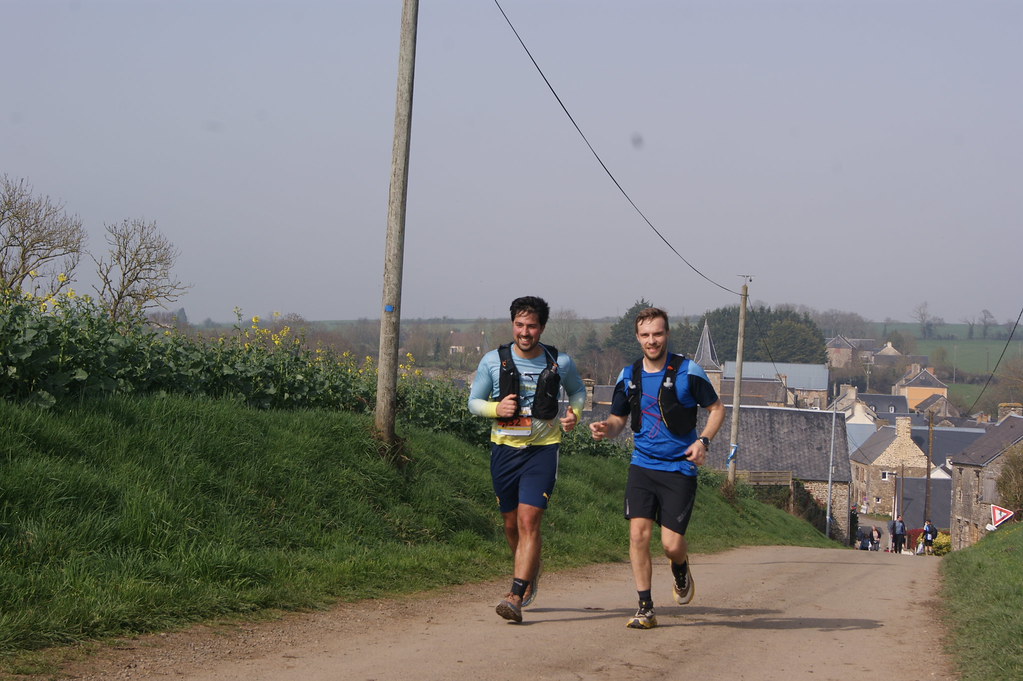 Coureurs de trail en forêt