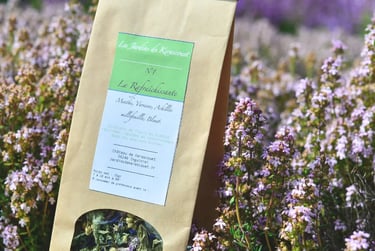 Les Jardins de Kerascouet